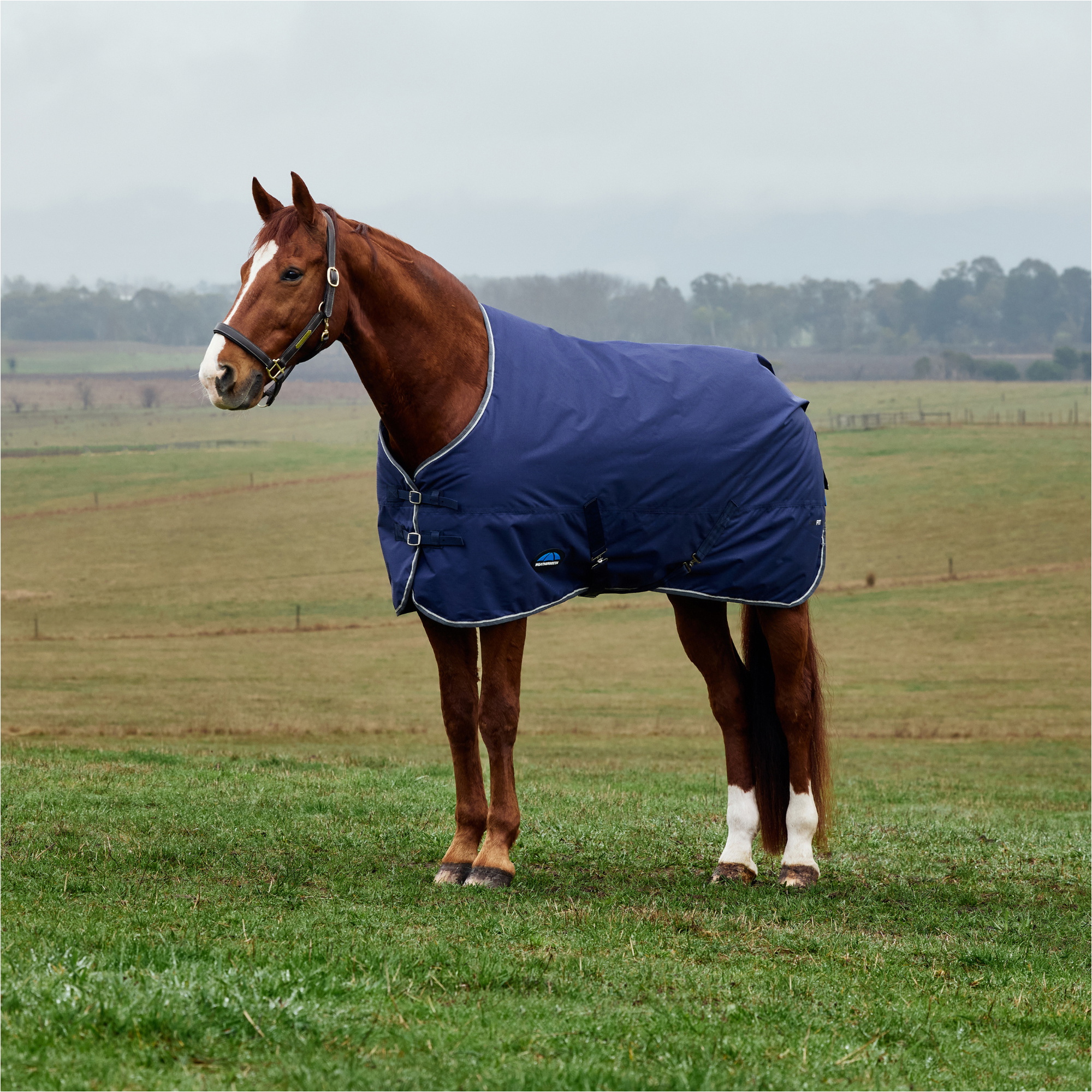 2025 WeatherBeeta Comfitec Tyro Turnout Standard Neck 1029037 - Navy